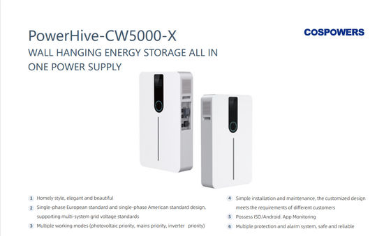 PowerHive-CW5000-X